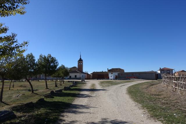 MARAZUELA